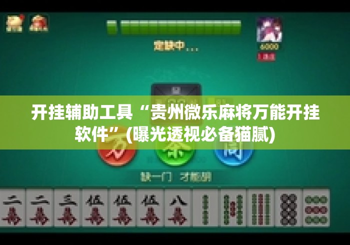 开挂辅助工具“贵州微乐麻将万能开挂软件	”(曝光透视必备猫腻)