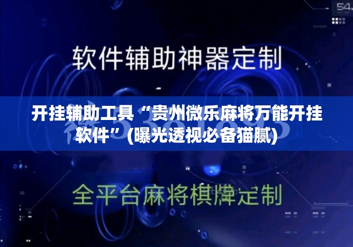 开挂辅助工具“贵州微乐麻将万能开挂软件”(曝光透视必备猫腻)