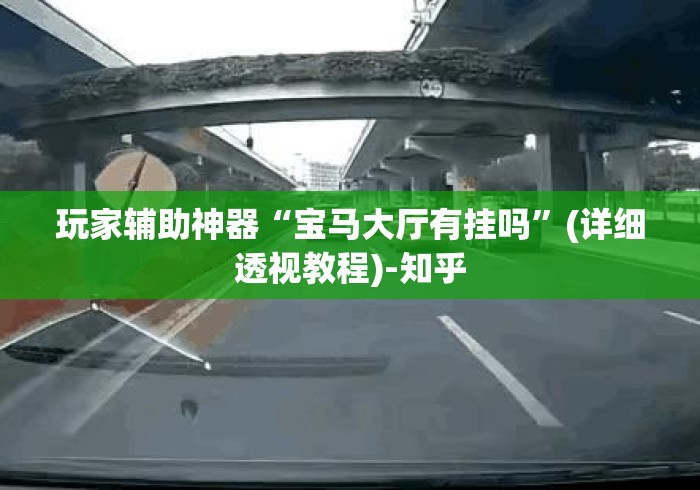 玩家辅助神器“宝马大厅有挂吗”(详细透视教程)-知乎