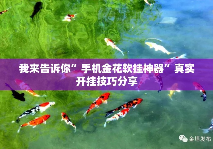 我来告诉你”手机金花软挂神器”真实开挂技巧分享