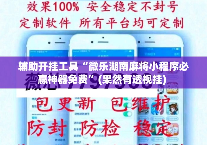 辅助开挂工具“微乐湖南麻将小程序必赢神器免费”(果然有透视挂) 