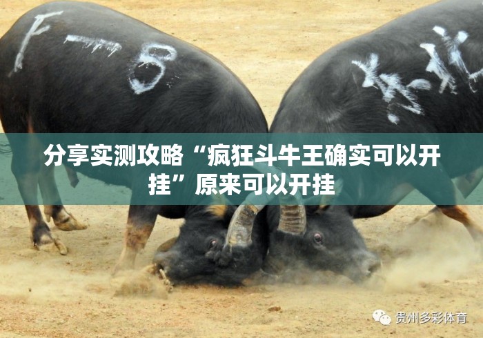 分享实测攻略“疯狂斗牛王确实可以开挂”原来可以开挂