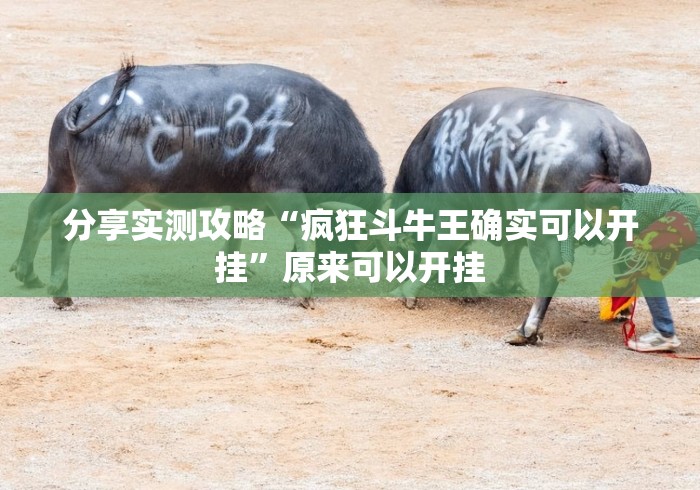 分享实测攻略“疯狂斗牛王确实可以开挂	”原来可以开挂
