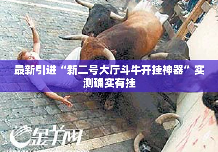 最新引进“新二号大厅斗牛开挂神器”实测确实有挂