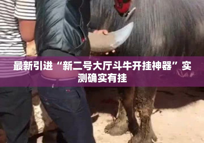 最新引进“新二号大厅斗牛开挂神器	”实测确实有挂