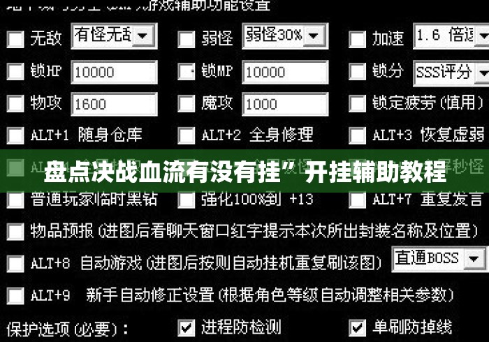 盘点决战血流有没有挂	”开挂辅助教程
