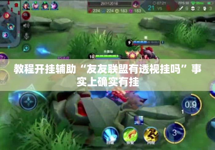 教程开挂辅助“友友联盟有透视挂吗”事实上确实有挂