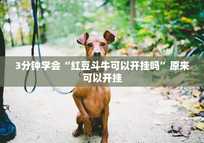 3分钟学会“红豆斗牛可以开挂吗”原来可以开挂