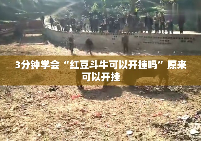 3分钟学会“红豆斗牛可以开挂吗”原来可以开挂