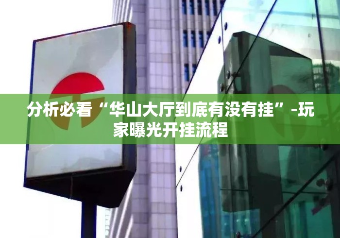 分析必看“华山大厅到底有没有挂”-玩家曝光开挂流程