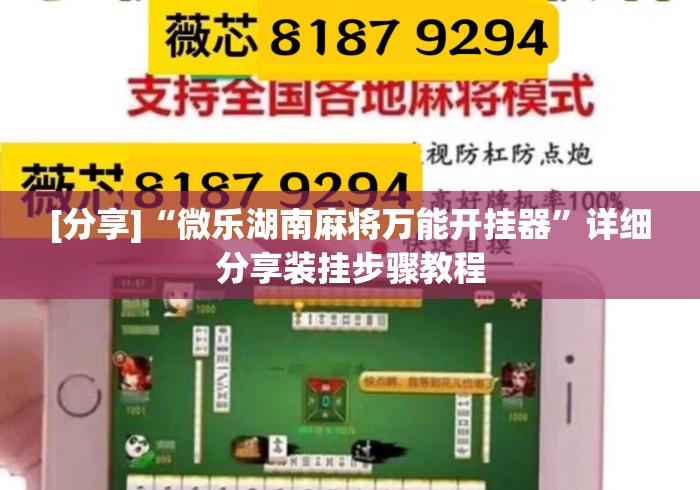 [分享]“微乐湖南麻将万能开挂器”详细分享装挂步骤教程