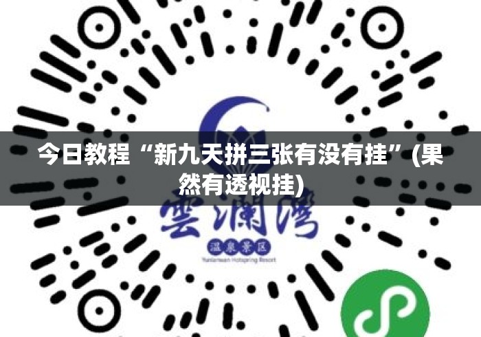 今日教程“新九天拼三张有没有挂”(果然有透视挂)