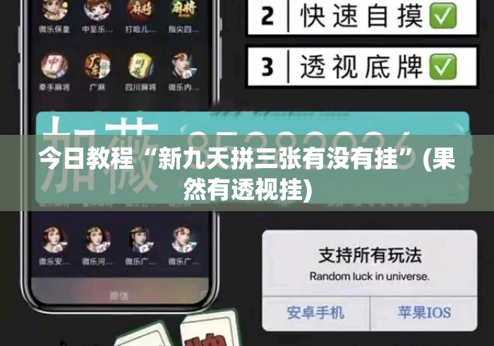 今日教程“新九天拼三张有没有挂”(果然有透视挂)