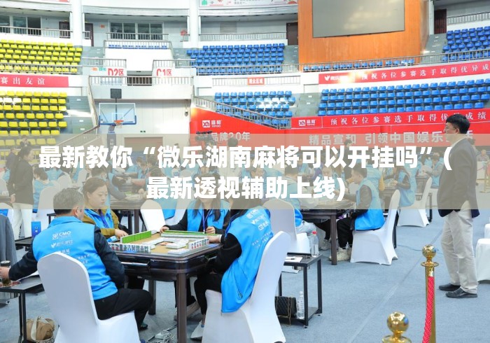 最新教你“微乐湖南麻将可以开挂吗”(最新透视辅助上线)