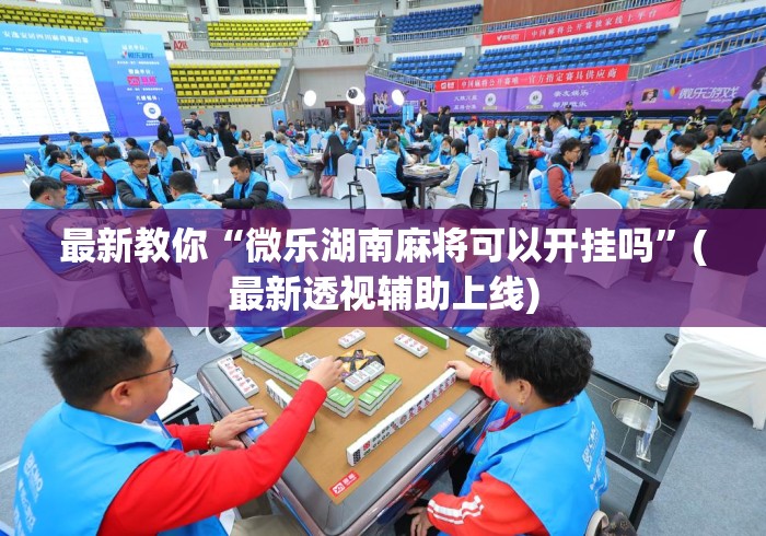 最新教你“微乐湖南麻将可以开挂吗”(最新透视辅助上线)