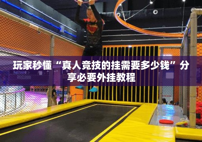 玩家秒懂“真人竞技的挂需要多少钱	”分享必要外挂教程