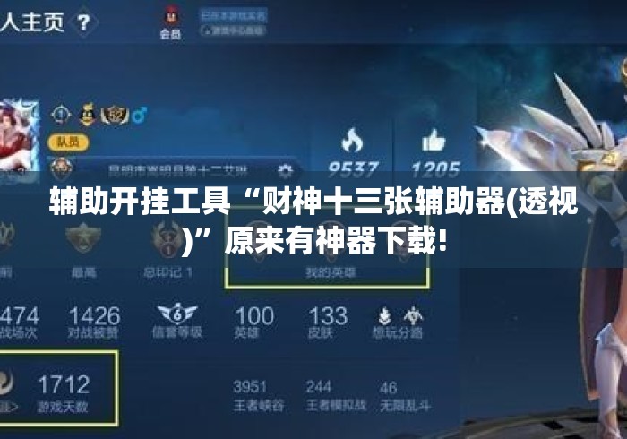 辅助开挂工具“财神十三张辅助器(透视)”原来有神器下载!