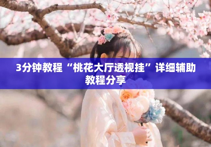 3分钟教程“桃花大厅透视挂”详细辅助教程分享