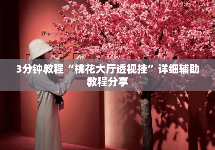 3分钟教程“桃花大厅透视挂”详细辅助教程分享