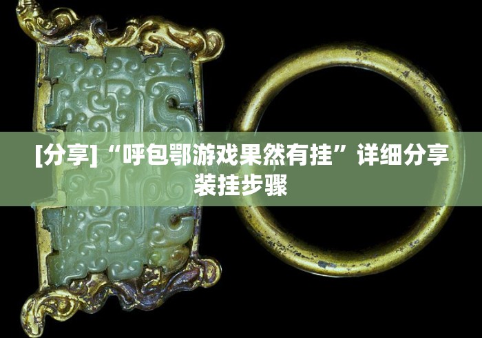 [分享]“呼包鄂游戏果然有挂”详细分享装挂步骤