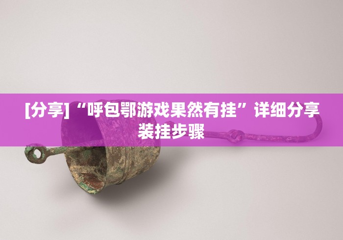 [分享]“呼包鄂游戏果然有挂”详细分享装挂步骤