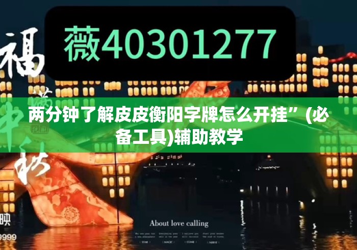 两分钟了解皮皮衡阳字牌怎么开挂”(必备工具)辅助教学