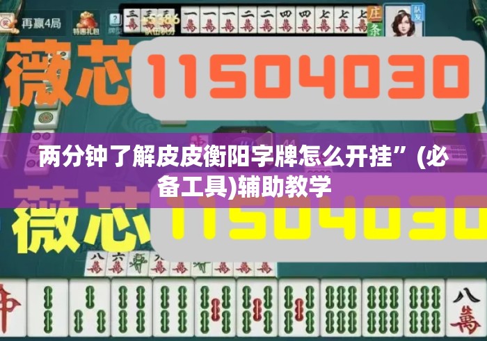 两分钟了解皮皮衡阳字牌怎么开挂”(必备工具)辅助教学