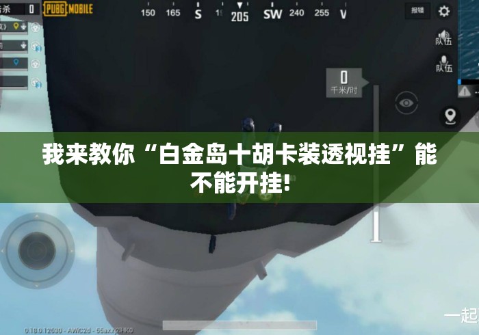 我来教你“白金岛十胡卡装透视挂”能不能开挂!