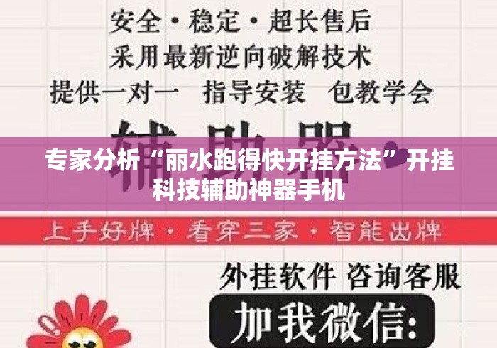 专家分析“丽水跑得快开挂方法”开挂科技辅助神器手机