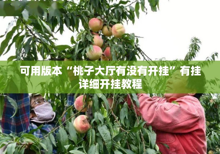 可用版本“桃子大厅有没有开挂”有挂详细开挂教程