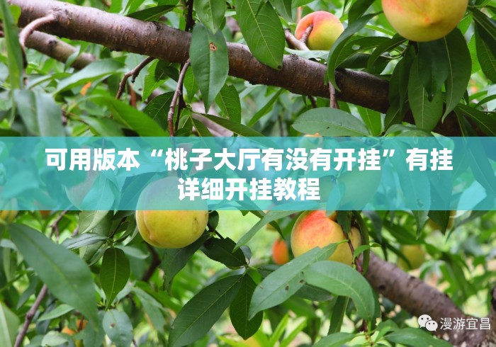 可用版本“桃子大厅有没有开挂”有挂详细开挂教程