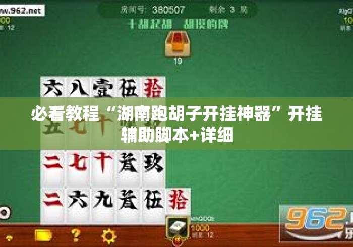 必看教程“湖南跑胡子开挂神器	”开挂辅助脚本+详细