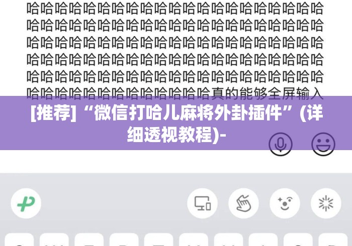 [推荐]“微信打哈儿麻将外卦插件	”(详细透视教程)-