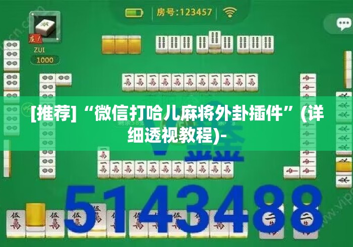 [推荐]“微信打哈儿麻将外卦插件”(详细透视教程)-