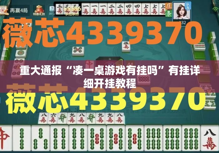 重大通报“凑一桌游戏有挂吗”有挂详细开挂教程