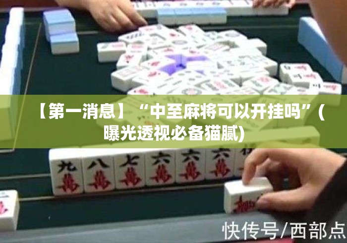 【第一消息】“中至麻将可以开挂吗”(曝光透视必备猫腻)
