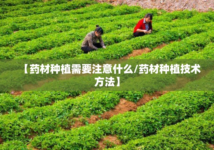 我来告诉你“微乐怎么让系统给你发好牌”2025开挂教程步骤
