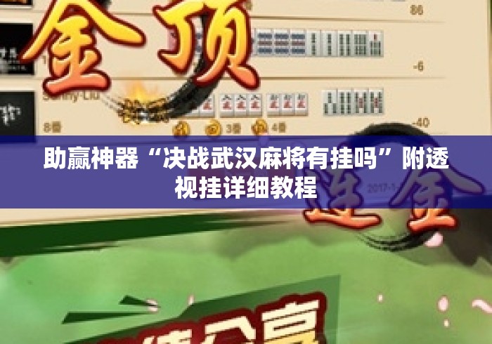 助赢神器“决战武汉麻将有挂吗”附透视挂详细教程