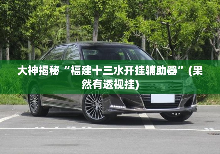 大神揭秘“福建十三水开挂辅助器”(果然有透视挂)