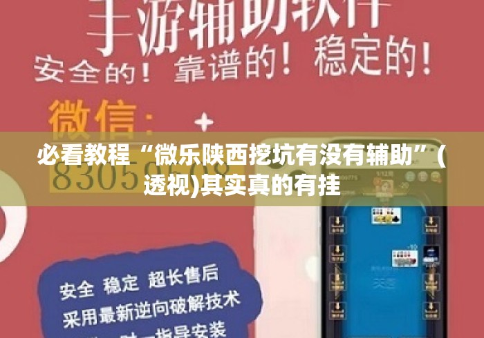 必看教程“微乐陕西挖坑有没有辅助”(透视)其实真的有挂