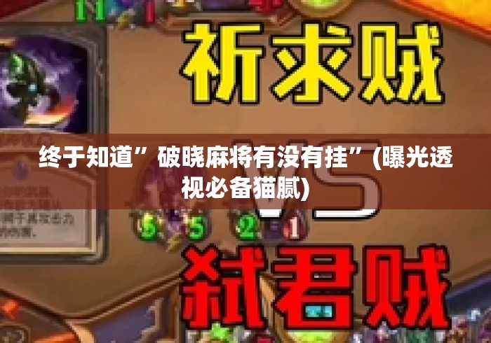 终于知道”破晓麻将有没有挂	”(曝光透视必备猫腻)