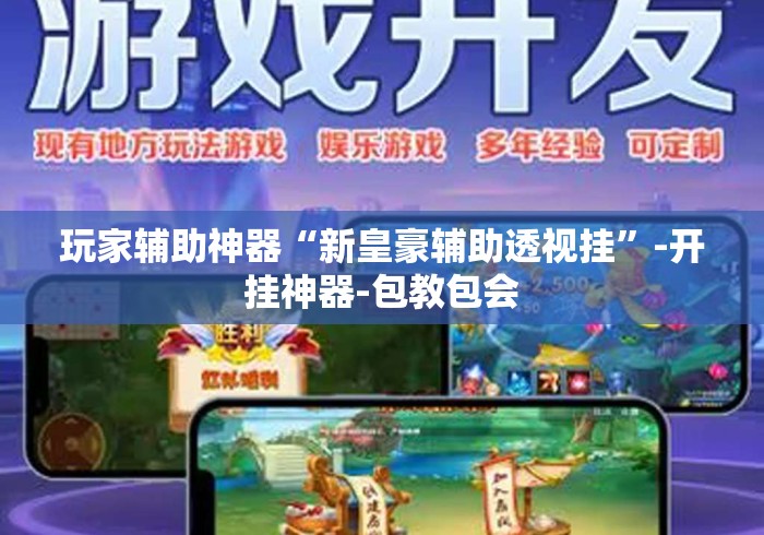 玩家辅助神器“新皇豪辅助透视挂	”-开挂神器-包教包会