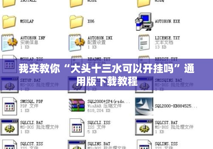 我来教你“大头十三水可以开挂吗”通用版下载教程