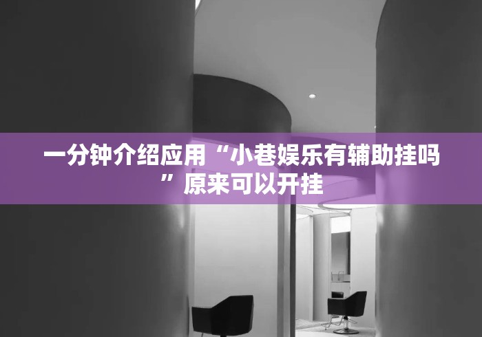 一分钟介绍应用“小巷娱乐有辅助挂吗”原来可以开挂