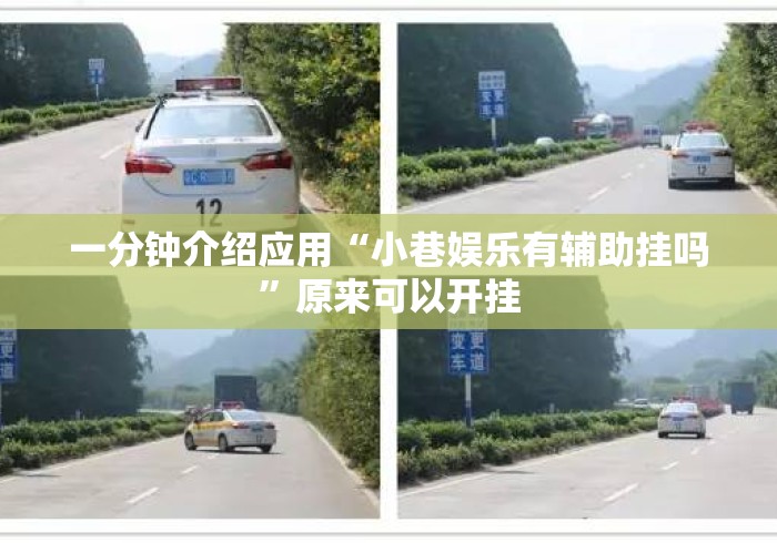 一分钟介绍应用“小巷娱乐有辅助挂吗”原来可以开挂