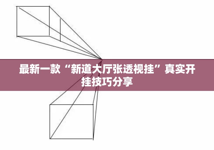 最新一款“新道大厅张透视挂”真实开挂技巧分享