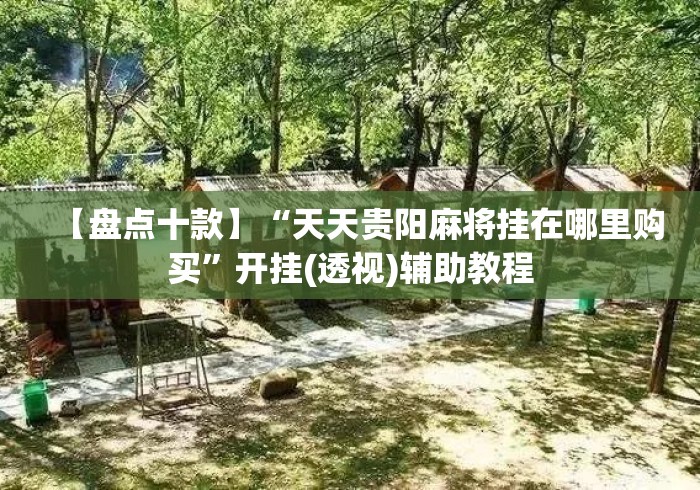 【盘点十款】“天天贵阳麻将挂在哪里购买”开挂(透视)辅助教程