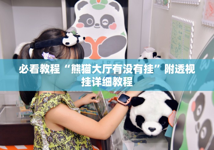 必看教程“熊猫大厅有没有挂”附透视挂详细教程