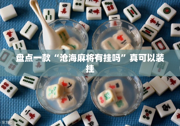 盘点一款“沧海麻将有挂吗”真可以装挂