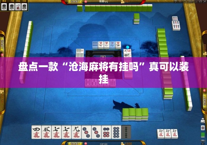 盘点一款“沧海麻将有挂吗”真可以装挂